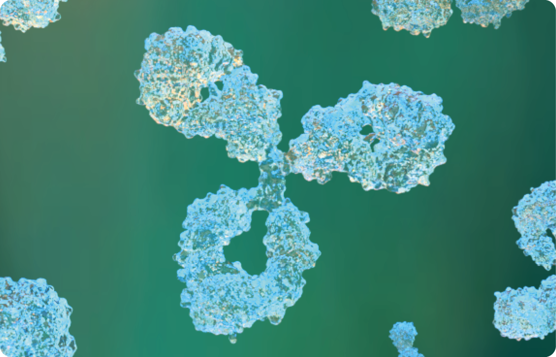 Star Product Recommendation | Agrisera Universal Plant Antibodies (Global Antibodies) Star Product Recommendation | Agrisera Universal Plant Antibodies (Global Antibodies)